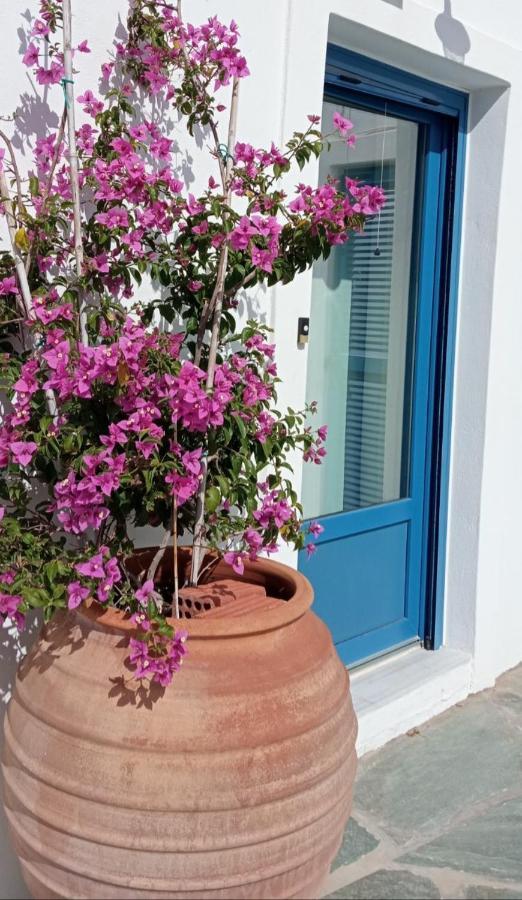 The Veranda Of Gavrion-Exclusive, Centrally Located With Seaview Екстериор снимка